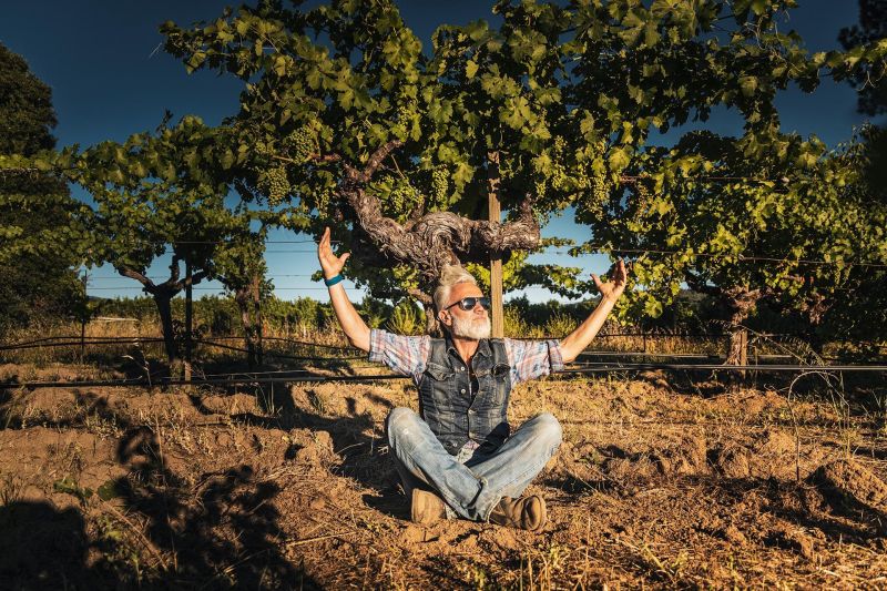 Marco Simonit Master of pruning in Napa Valley