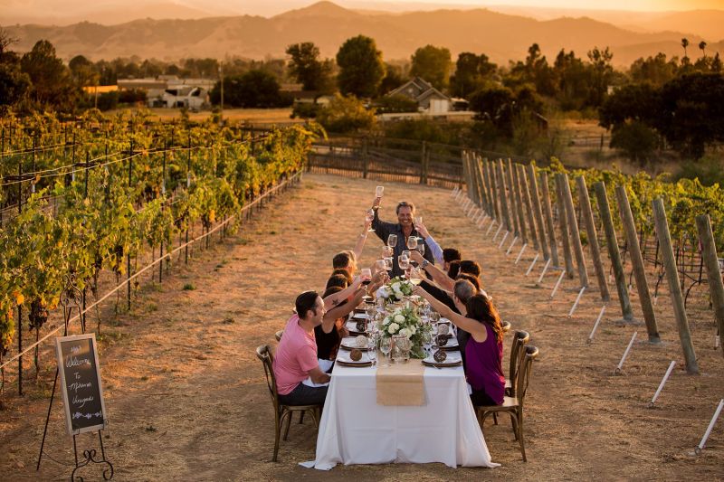 Lifestyle at Miramar Vineyards Party in the Vineyards. San Martin CA