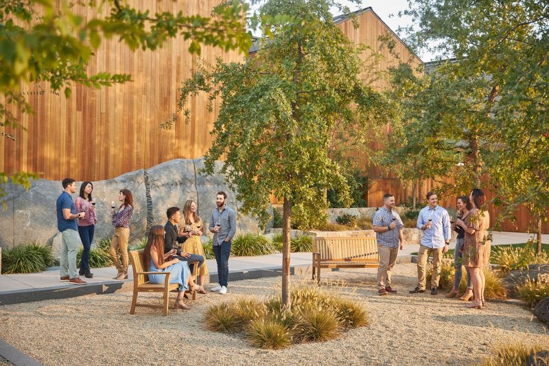 CakeBread Winery Lifestyle in the outside patio