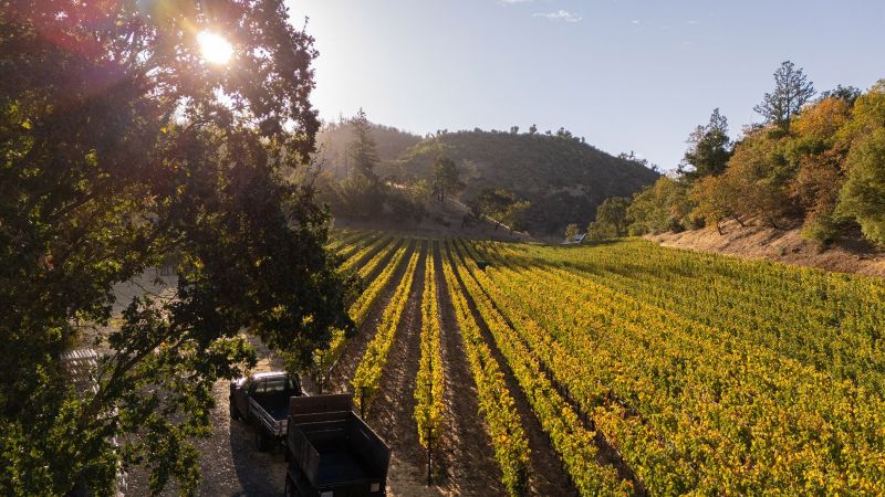 Eisele Vineyard Calistoga Napa Valley