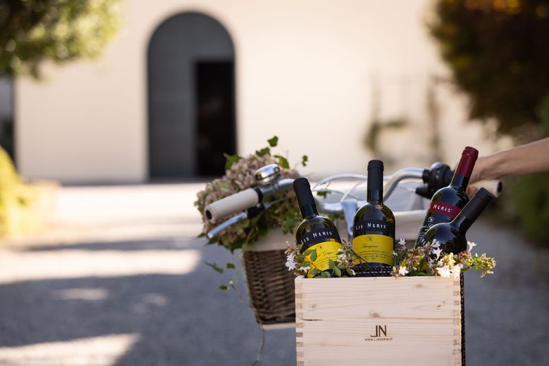 Lis Neris Wines Lifestyle