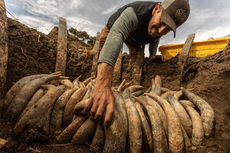 Seasmoke Winery Biodynamic Farming