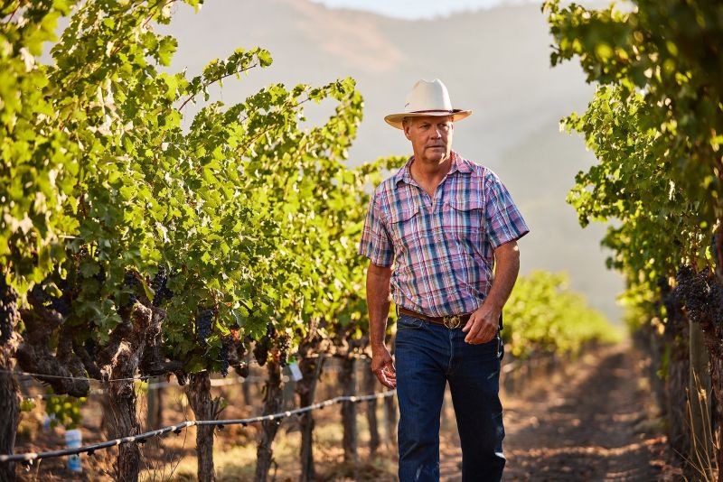 Stags Leap Vineyards